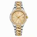 GOLDEY WATCH